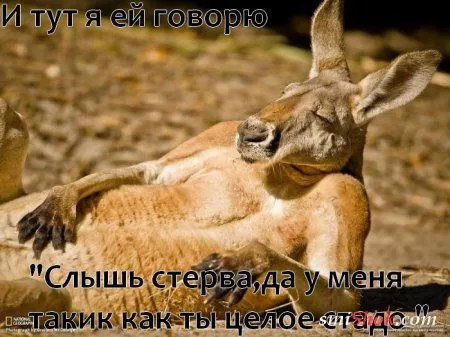 Смотри прикольные картинки Смотри прикольные картинки