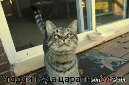 Смотри прикольные картинки Смотри прикольные картинки