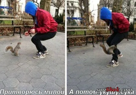Смотри прикольные картинки Смотри прикольные картинки