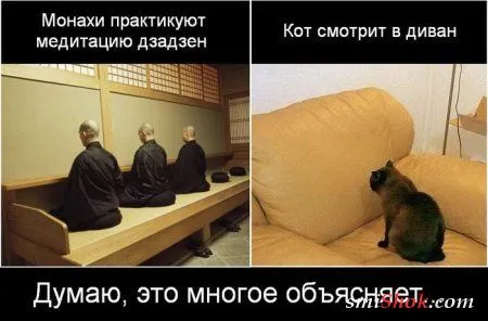 Смотри новые фото приколы и не расстраивайся