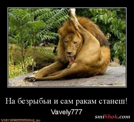 Наши поболтушки, в демотиваторах!