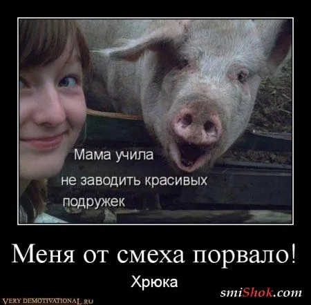 Наши поболтушки, в демотиваторах!