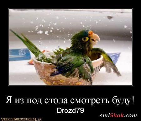 Наши поболтушки, в демотиваторах!