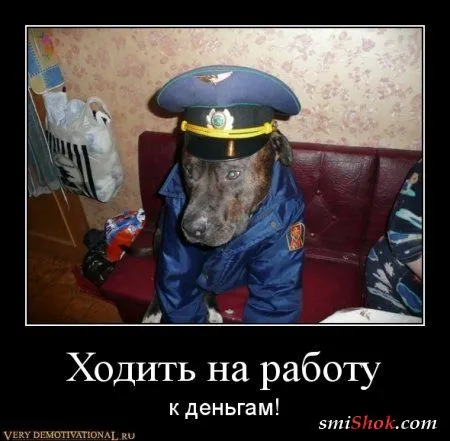 Народные приметы в демотиваторах! Народные приметы в демотиваторах!