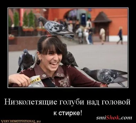 Народные приметы в демотиваторах! Народные приметы в демотиваторах!