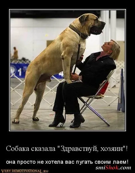 Народные приметы в демотиваторах! Народные приметы в демотиваторах!