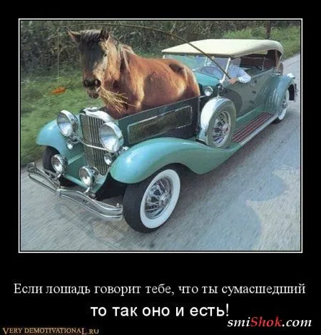 Народные приметы в демотиваторах! Народные приметы в демотиваторах!