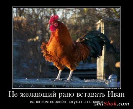 25 прикольных демотиваторов 25 прикольных демотиваторов