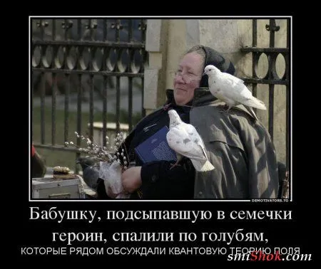 25 прикольных демотиваторов 25 прикольных демотиваторов