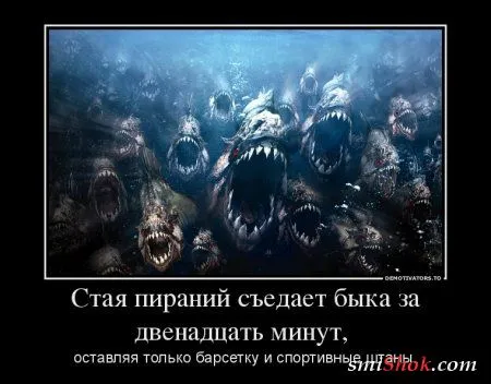 25 прикольных демотиваторов 25 прикольных демотиваторов