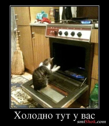 Демотиваторы, скучно не будет Демотиваторы, скучно не будет