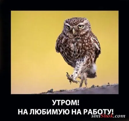 Демотиваторы, скучно не будет Демотиваторы, скучно не будет
