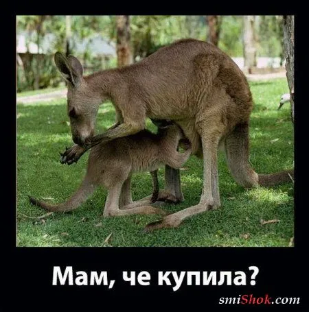 Демотиваторы, скучно не будет Демотиваторы, скучно не будет