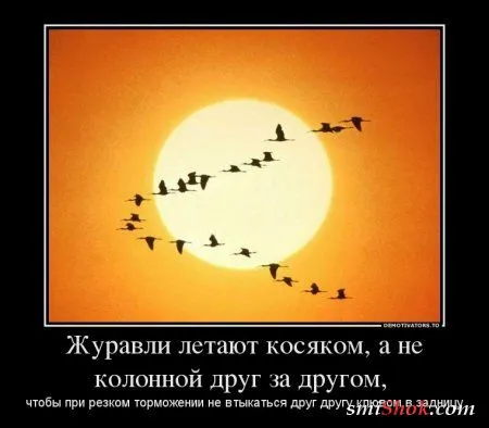 Демотиваторы самые смешные, самые прикольные Демотиваторы самые смешные, самые прикольные