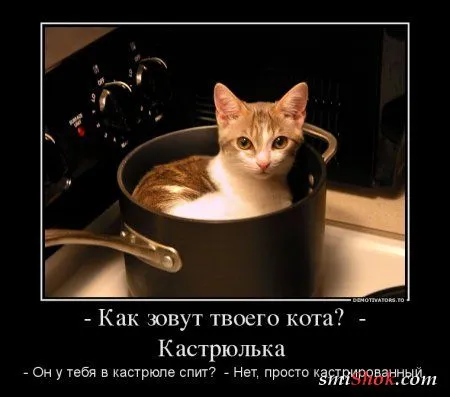 Демотиваторы самые смешные, самые прикольные Демотиваторы самые смешные, самые прикольные