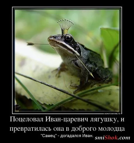 Демотиваторы самые смешные, самые прикольные Демотиваторы самые смешные, самые прикольные