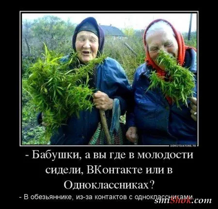 Демотиваторы самые смешные, самые прикольные