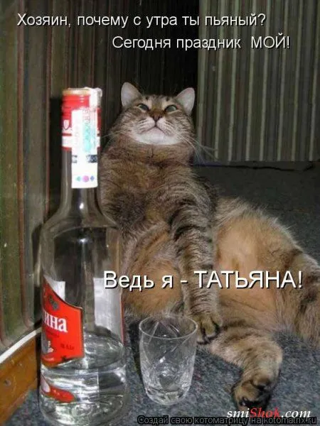 Свеженькие котомашки