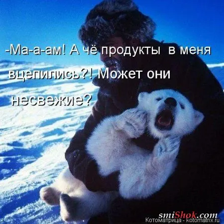 Свеженькие котомашки