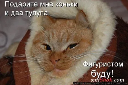 Свеженькие котомашки