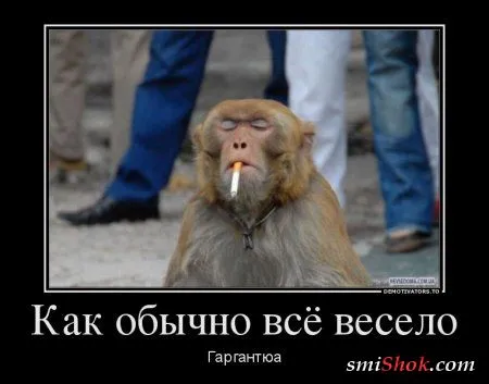 Демотиваторы подборка на скорую руку