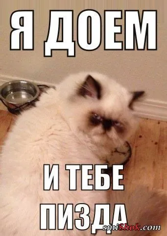 Прикольные картинки в любое время дня