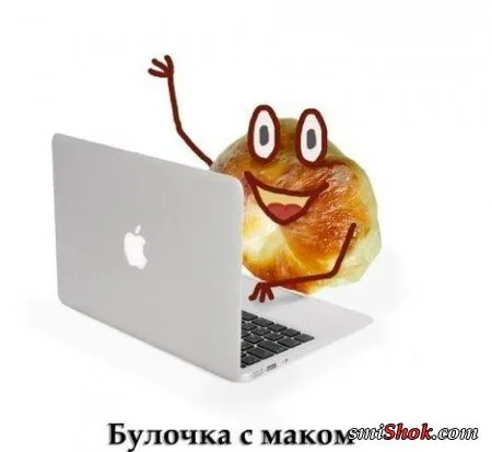 Прикольные картинки в любое время дня