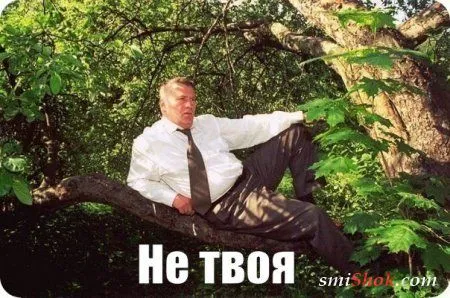 Прикольные картинки в любое время дня