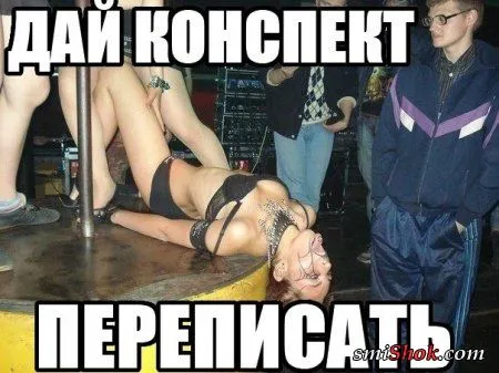 Прикольные картинки в любое время дня