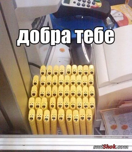 Прикольные картинки в любое время дня