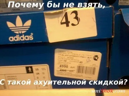 Прикольные картинки в любое время дня