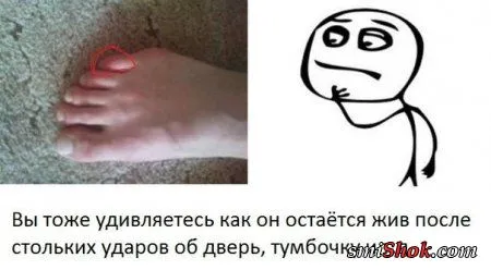 Прикольные картинки в любое время дня