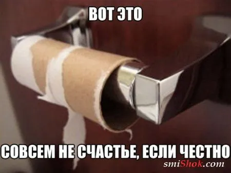 Прикольные картинки в любое время дня