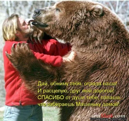 Котоматрицы это прикольные фото котов с надписями