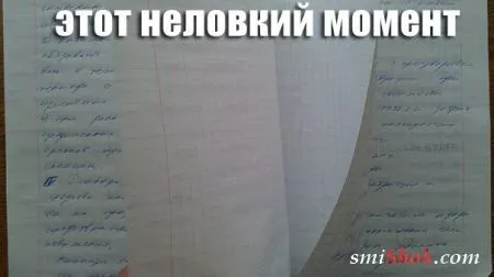 Прикольные картинки в любое время дня