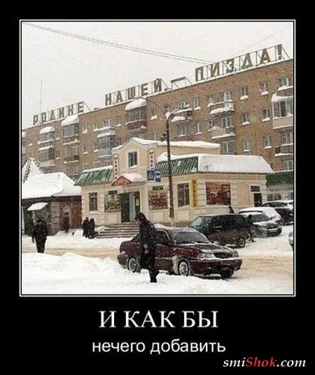 Демотиваторы это веселые картинки и надписи (30 штук) Демотиваторы это веселые картинки и надписи (30 штук)