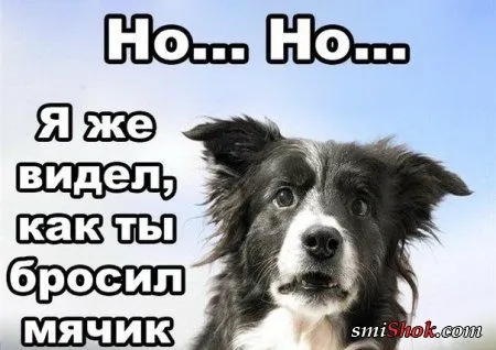 Фото приколы, то что нужно