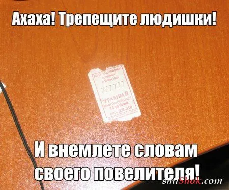Фото приколы, то что нужно