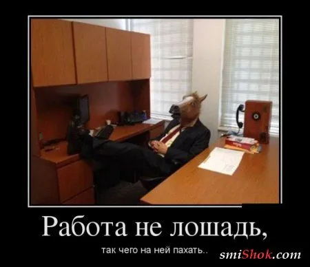 Хорошие и прикольные демотиваторы