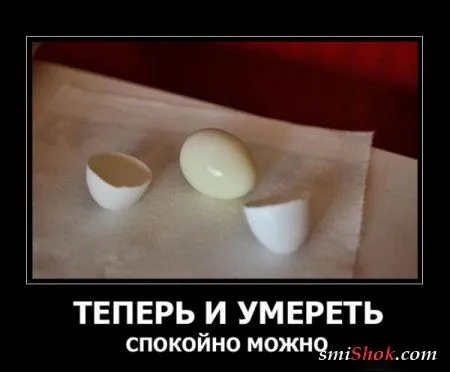 Хорошие и прикольные демотиваторы