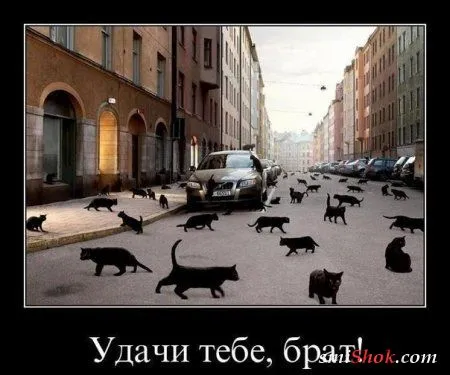 Не серьезные фото прикольчики