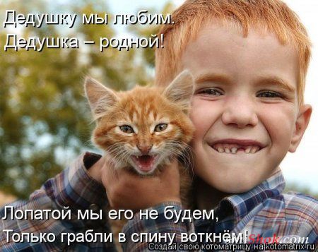 Любимый котик картинки прикольные мужчине