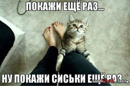 Приколы на фото, ну очень много позитива