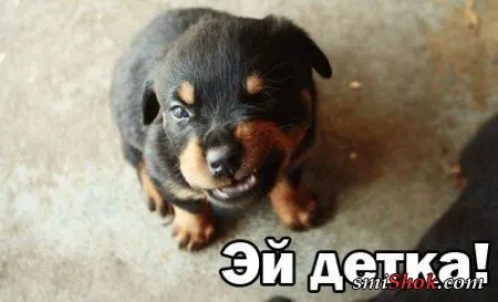 Приколы на фото, ну очень много позитива