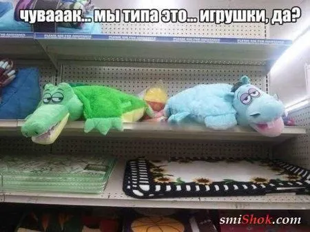 Приколы на фото, ну очень много позитива