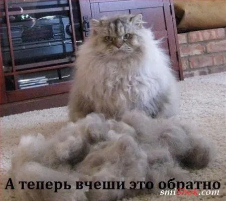 Приколы на фото, ну очень много позитива