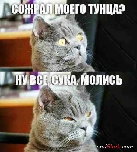 Приколы на фото, ну очень много позитива
