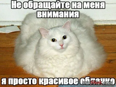 Приколы на фото, ну очень много позитива