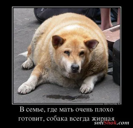 Демотиваторы на прикольную тему "А знаете ли Вы? Что...