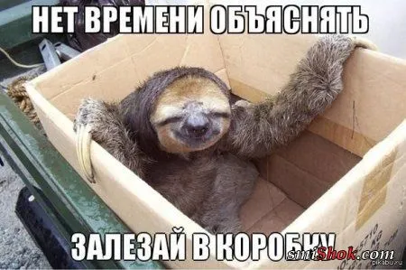 Время есть, тогда смотри новые фото приколы